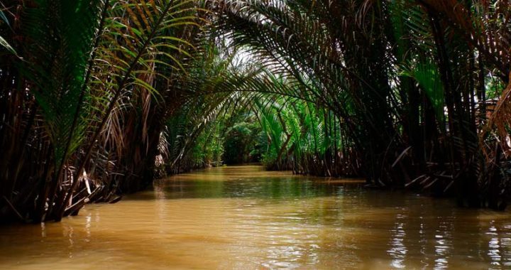 mekong-delta-travel-mekong-river-tour-ho-chi-minh-city-vietnam-0002-720x380
